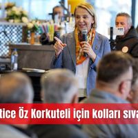 İlçeler