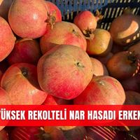 İlçeler