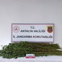Asayiş