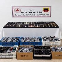 Asayiş