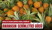 Antalya sıcaklarında doğal serinlik: Ananasın serinletici gücü