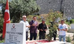 Kaymakamı Çelik, şehit kabirlerini ziyaret etti