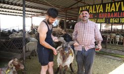 Kurban pazarı ve tatlıcılarda yoğunluk yaşanıyor
