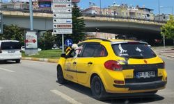 Köpeğin  tehlikeli yolculuğu 