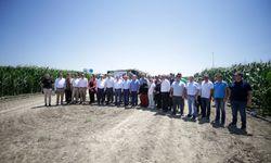 Kuraklığa dayanıklı mısır geliştirilecek 