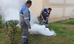 'Sivrisinek sorunu stabile dönecek' 