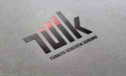 TÜİK dış ticaret endekslerini açıkladı