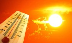 Dünya Meteoroloji Örgütü: Temmuz’un ilk haftası kaydedilen ‘en sıcak hafta’