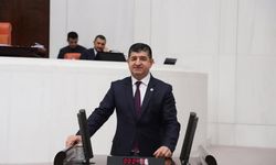 Beceriksizlik ranta teslim 