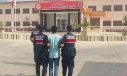 Avokado hırsızı yakalandı