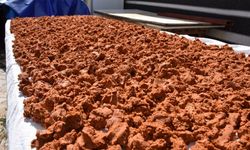 Damak çatlatan 'tarhana' kışa hazır