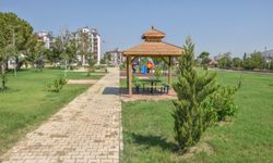 Habibler yeşille güzelleşiyor