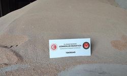 Kaçak ekmeklik buğday baskını
