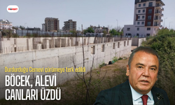 Böcek, Alevi canları üzdü