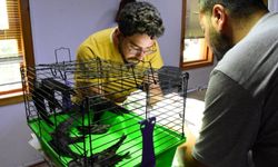 6 ayda doğadan gelen 545 hayvana tedavi 