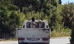 Kamyonetten karpuzları yola fırlattı
