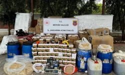Sahte ilaç ürettikleri iddiasıyla 2 zanlı yakalandı