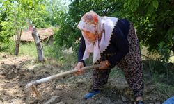 Tarıma can suyu 