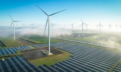 Veriler açıklandı: Vergi rekortmenleri listesinde 7 enerji şirketi yer aldı