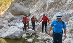 Yaralı bulunan yaban keçisi kurtarıldı