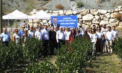 Aronya hasadı şenlikle başladı 