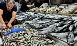 Balık tezgahlarında palamut, hamsi ve çinekop bolluğu yaşanıyor