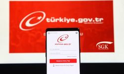 BM araştırması sonuçlandı: Türkiye e-Devlet konusunda büyük aşama kaydetti