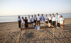 Caretta carettalara "5 yıldızlı" hassasiyet