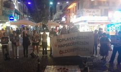 Hayvanseverlerin tepkisi dinmiyor