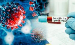 Hepatit C'nin sonu mu geliyor? Bilim insanları ölümcül virüsün sırrını çözmeye yakın