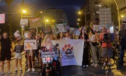 Katliam yasasına ‘Hayır’ yürüyüşü 