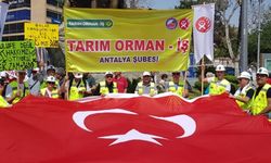 Tarım Orman İş: Dolandırılıyoruz 
