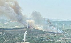 Urla'da orman yangını