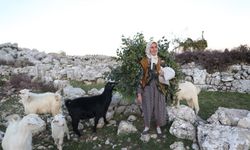 Selge’nin hem çobanı hem de koruyucusu