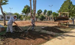 Sakarya Parkı’na kapsamlı yenileme 
