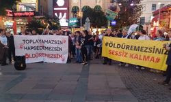 'Hayvanların onuru iktidarı yenecek' 