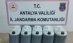 Sahte zeytinyağı baskını