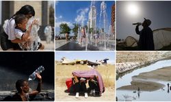 WMO: 2024 "kayıtlardaki en sıcak yıl olma yolunda"