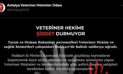 ‘Yasaya dahil et’ çağrısı