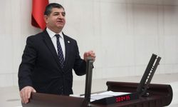 CHP’li Cavit Arı’dan galericilere destek