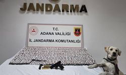 Emniyet göz açtırmıyor!