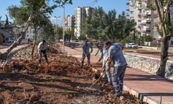 Kepez’de yeşil dönüşüm başladı 