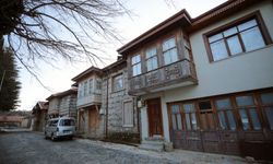 Ormana'ya yeni yılda ilginin artması bekleniyor