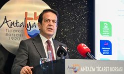 Domateste büyük düşüş!