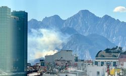 Antalya'da orman yangını