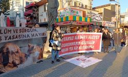 Başkan Böcek’e barınak tepkisi