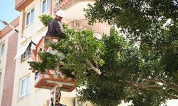 Cami bahçelerinde ramazan temizliği