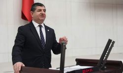 CHP’li Arı’dan Serik için çağrı 