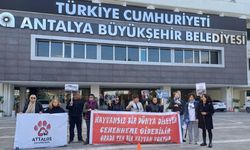 Hayvanseverler, Başkan Böcek’e böyle seslendi: O kapıları ya açacaksınız ya da açacaksınız