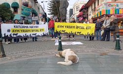 Hayvanseverler: Yasalar katliam için değildir!